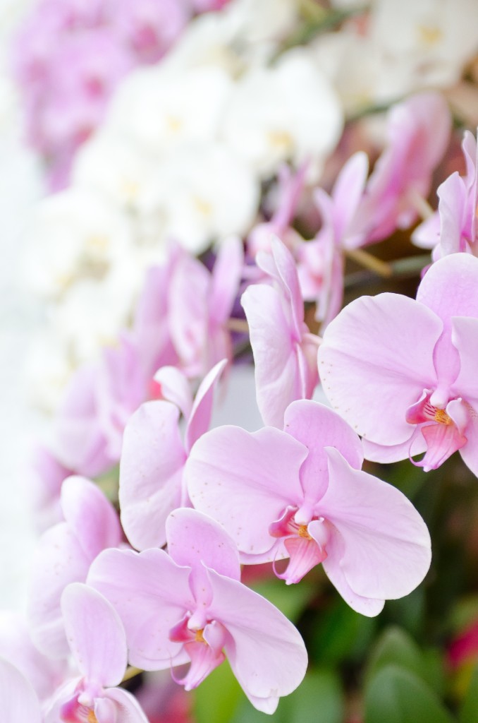 210d64393c94f98edb5becea6a129674_m