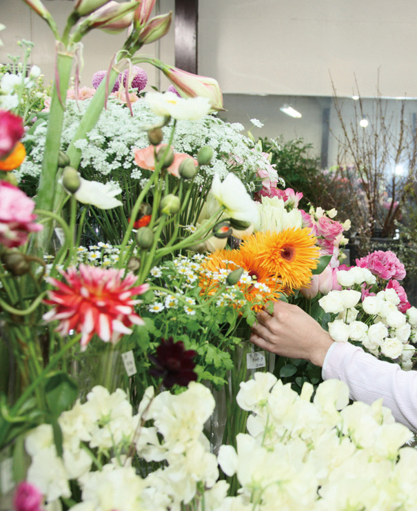 8f2e7e1b3e85a2e805194a6f252536b1_m